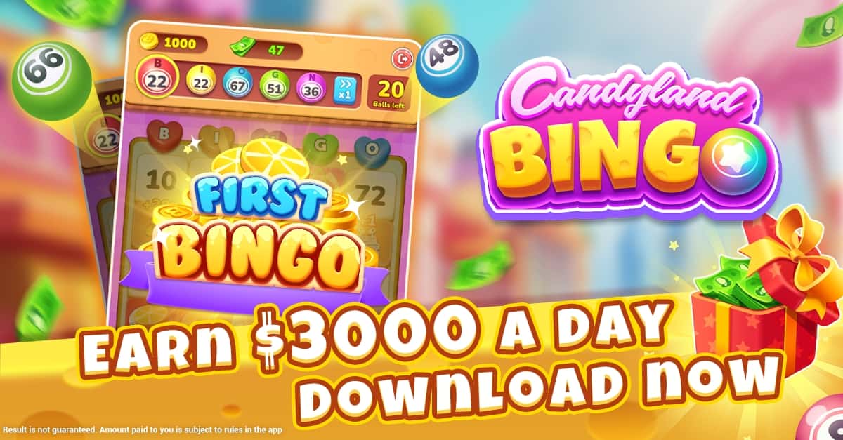 3355bet foden cassino entretenimento